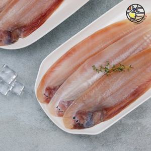 군산 반건조 박대(서대) 대 31-33cm 대 5미
