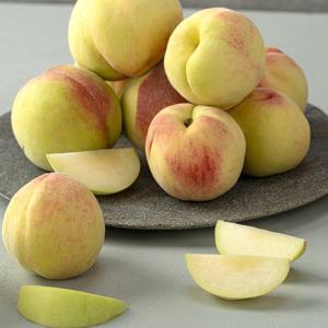 [더자인] 달콤과즙 말랑이 백도복숭아 2kg 중과 9-10과내외