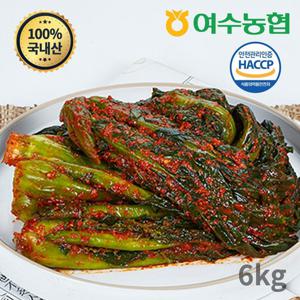 [여수농협] 여수돌산 갓김치 6kg