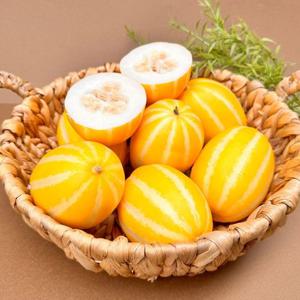 성주 고당도 꿀 참외 중소과 가정용 (18-25과 내외) 5kg 산지직송