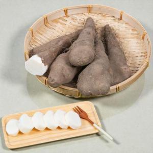 마사토 안동 마 2kg 산마 국내산 참마 중품