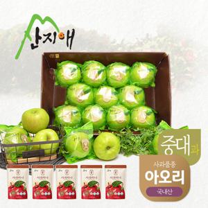 산지애 씻어나온 초록사과 2.7kg 1box+실속사과주스 5팩 / 봉지 세척사과, 아오리 사과