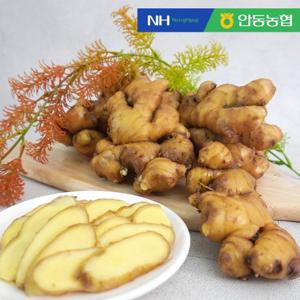 [안동농협] 품질보장 농협 세척 생강 2kg