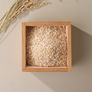 삼시세끼 삼광 오분도미 특등급 1kg x 3봉