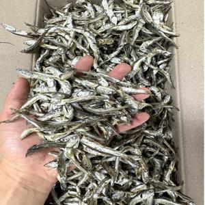 [미각] 국산 햇 고바멸치 고추장멸치 국물멸치 1.5kg