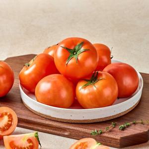 [더자인] 국내산 완숙토마토 5kg 혼합과