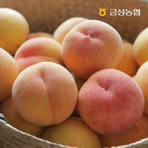 *농할할인*[금성농협]햇 황도 복숭아 4kg