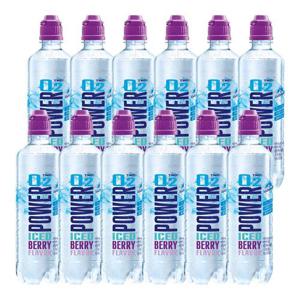 파워오투 아이스베리 500ml X 12펫