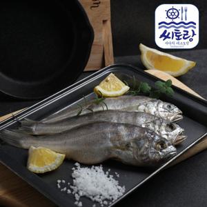 영광법성포 참굴비 20미 2.0kg