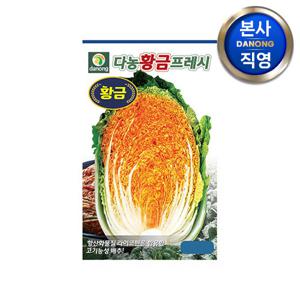 다농 황금 프레시 배추 씨앗 300립 . 라이코펜 채소 가을 김장 텃밭 파종 종자.