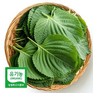 초록초록팜 국내산 유기농 깻잎 1kg 당일수확 산지직송 향긋한 쌈채소 친환경깻잎 ZU