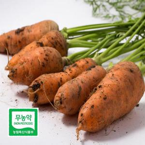 친환경 당근 못난이 5kg 국내산 안심하고 먹는 흙당근 DO