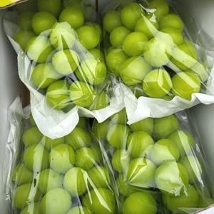 [더자인] 경북 하우스 샤인머스켓 2kg 4수(에어포장)