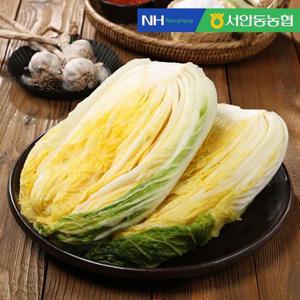 갤러리아_[즉시출고] [서안동농협] HACCP 풍산 절임배추 10kg