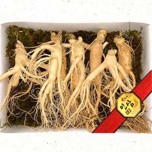 [후레쉬앤푸드] 5년근 난발삼1채 500g (4-5뿌리)