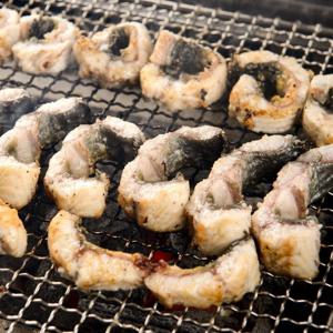 통영 손질 바다장어 1kg(손질후700g) 자연산 국산 기름기가 적어 담백한