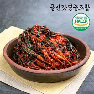 [돌산갓영농조합] 산지직송 전라도 여수돌산 고들빼기 1kg