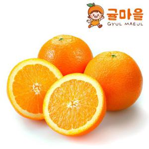 고당도 네이블 오렌지 중과 20과 개당190g내외