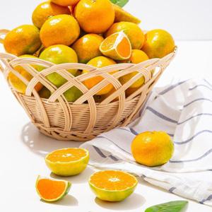 [더조은] 제주직송 하우스 감귤 (로얄과) 1.5kg