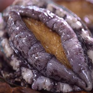 해신수산 완도활전복 특특대 7∼8미 1kg