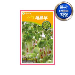 새싹 새론무 씨앗 1kg.무소독 무순 무싹 채소 수경 재배 씨 종자