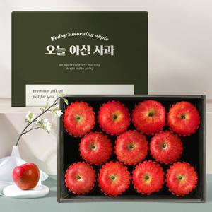 [오늘아침사과] 사과 선물세트 3kg 11과