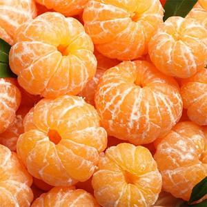 제주 하우스감귤 가정용 3kg (2S,S 소과,꼬마과)