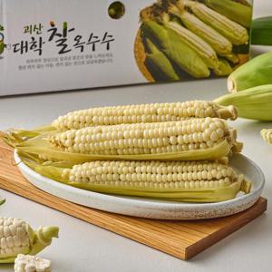 [팜스프링] 산지직송 괴산 대학찰옥수수 15개 특품(17-22cm내외)