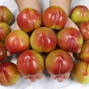 안동 고당도 추희자두 가정 3kg