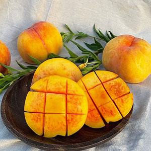 애플망고 복숭아 2kg (5~8과)