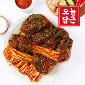 [오늘담근 김치] 전라도 파김치 1kg