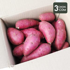 [삼촌밥먹자] 달콤한 세척 꿀 밤고구마 중 3kg