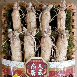 [금산수삼시장]금산 원수삼 선물세트 대 1호 750g(8-9뿌리 내외)