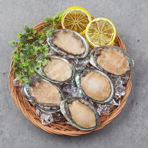 [자연맛남 전복] 완도직송 청정바다 참전복1kg(26-30미/산소포장)