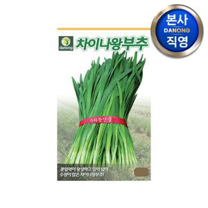 차이나 왕부추 씨앗 8g . 야채 채소 텃밭 파종 재배 주말 농장 씨 종자.