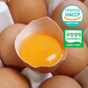 [당일산란]국내산 난각번호 1번 유정란 무항생제 60구 대란 달걀