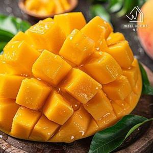 갤러리아_[웰굿] 항공직송 프리미엄 고당도 태국 골드망고 1kg(2-4과)