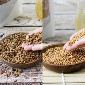 당일제조 국산 보리차 500g 2팩+현미차 500g 2팩 (지퍼백) 볶은 보리차,현미차