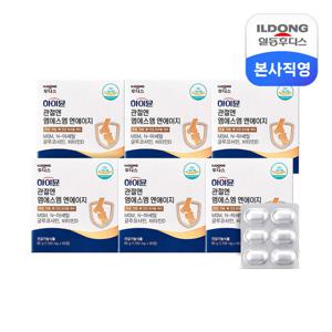하이뮨 관절엔 MSM NAG 1,100mg 60정 6박스(6개월분)/관절연골 뼈건강 보스웰리아  글루코사민