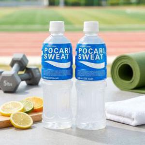 포카리스웨트 스포츠 이온음료 500ml 20개입