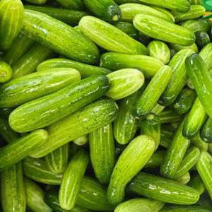 아삭 시원한 건강간식 신선한 미니오이 1kg(10-12개)