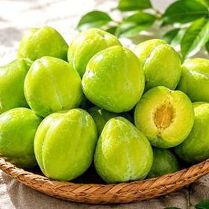 [APP전용] 자두계의 샤인머스켓 켈시 샤인자두 1kg 외
