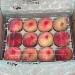 국내산 오존수 세척복숭아 세척 바로 먹는 간편한 털복숭아 2kg 4kg