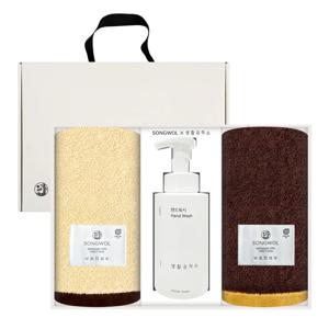 에센셜 프리미엄 뱀부타월 200g 2매 + 생활공작소 핸드워시500ml 선물세트 답례품