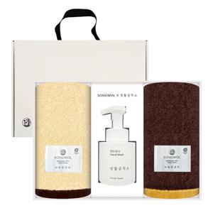 에센셜 프리미엄 뱀부타월 200g 2매 + 생활공작소 핸드워시250ml 선물세트 답례품