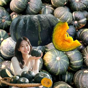 제주 못난이 미니 보우짱 가정용 단호박 혼합과 2.5kg