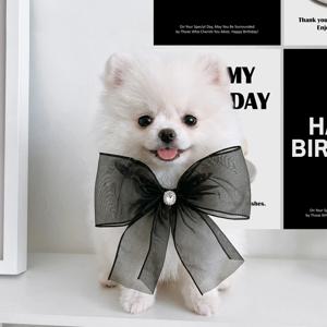 A4 스탠다드 케이크 생일 포스터 세트 4장 이벤트 생일파티용품 데코