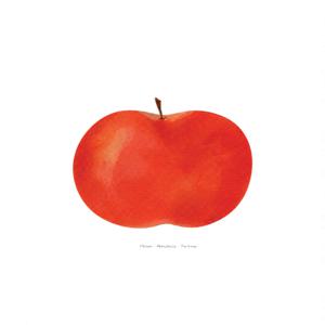 세련된 사과 그림 액자 풍요와 행운을 상징하는 레드 재물운을 부르는 빨간 사과 인테리어