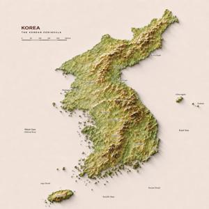 한국지도 세계지도 한반도지도 대한민국지도 3D 입체감 지형도 인테리어 그림액자