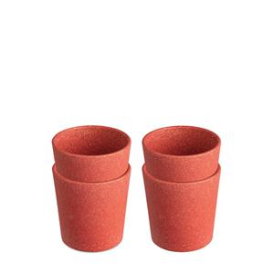커넥트 컵 190ml 4P 세트 네이처 코랄